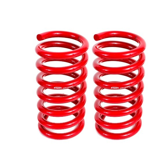 LOWERING SPRINGS REAR DRAG