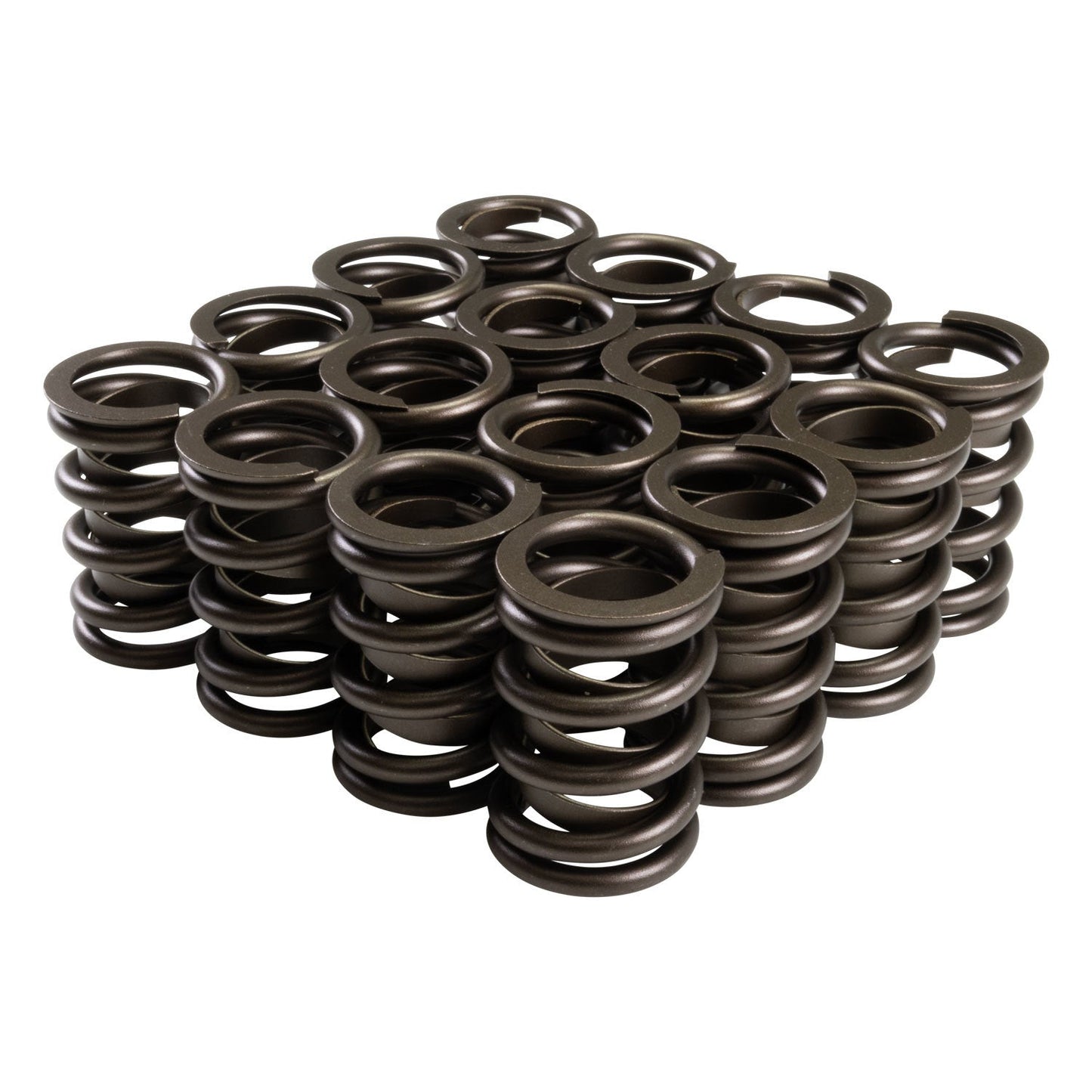 SPRING SET W/DAMPER .650