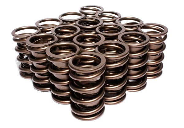 VALVE SPRINGS