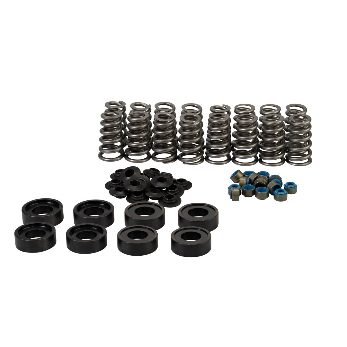 VALVE SPRING KIT