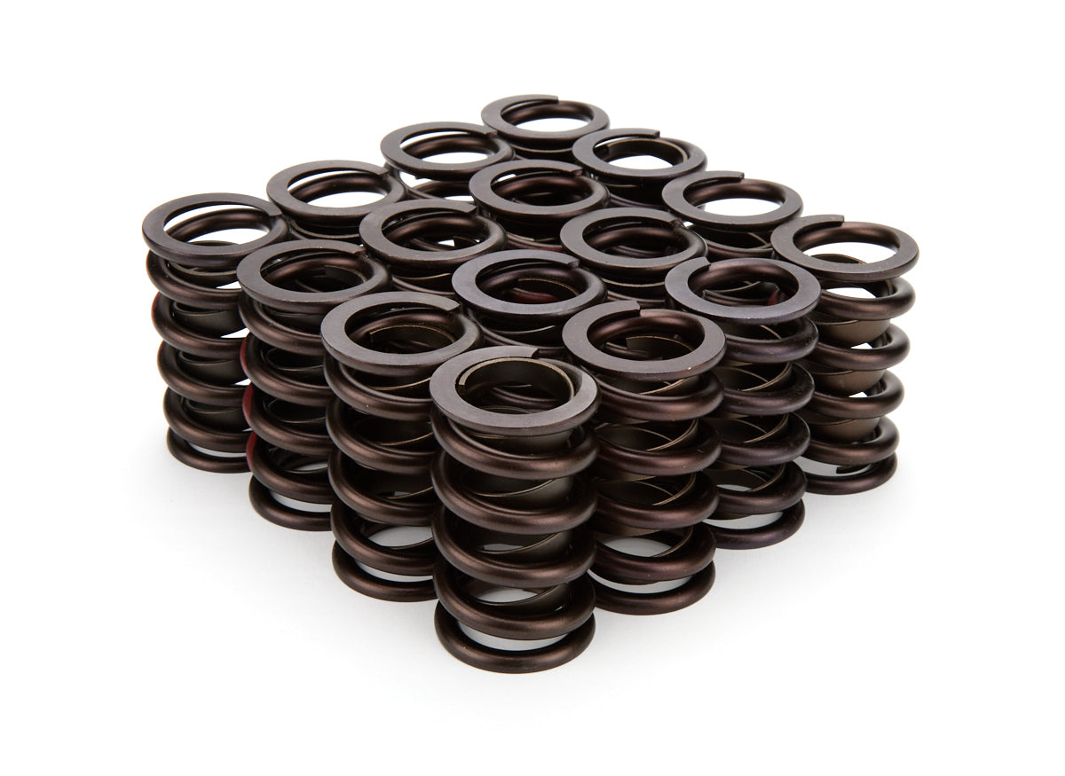 VALVE SPRINGS 1.269
