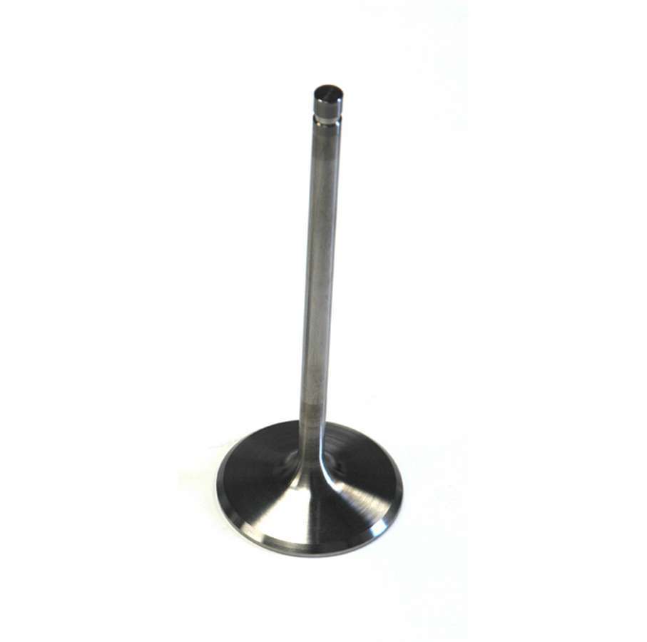 CAM BEARING SET (5)