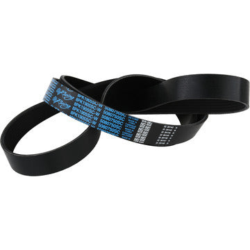 Supercharger Belt Cobra Mustang 03-04