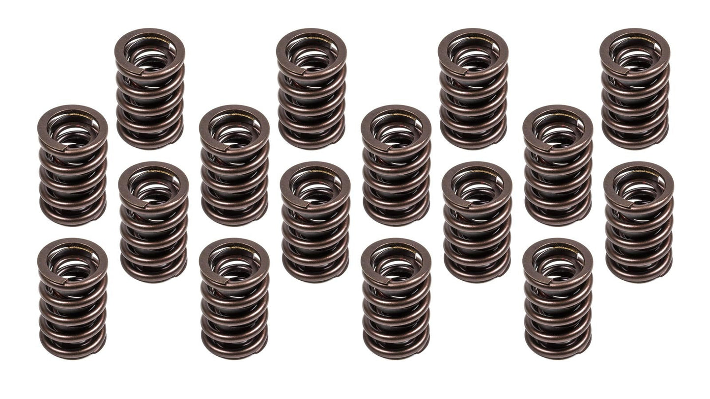 VALVE SPRINGS