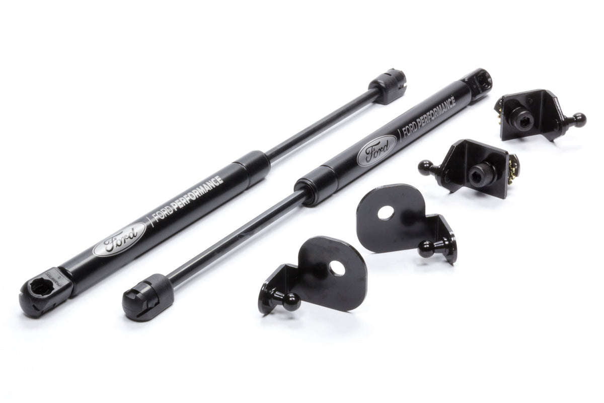 HOOD STRUT KIT
