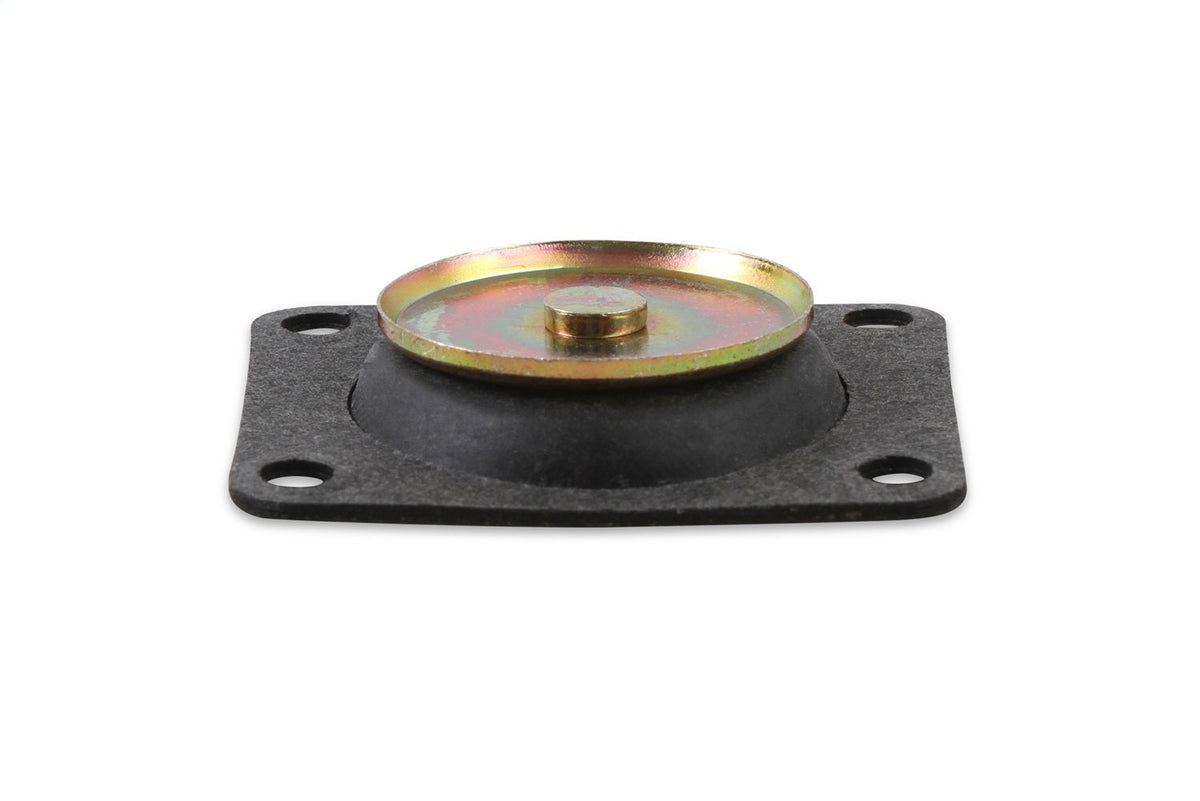 Acc. Pump Diaphragm 30cc Pump