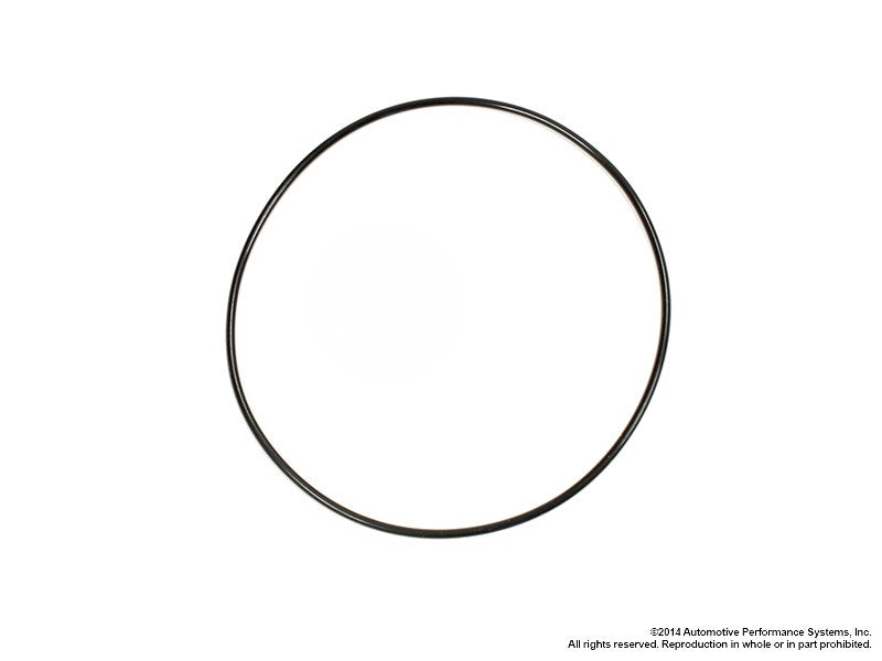 O-Ring | Turbo Discharge Adapter