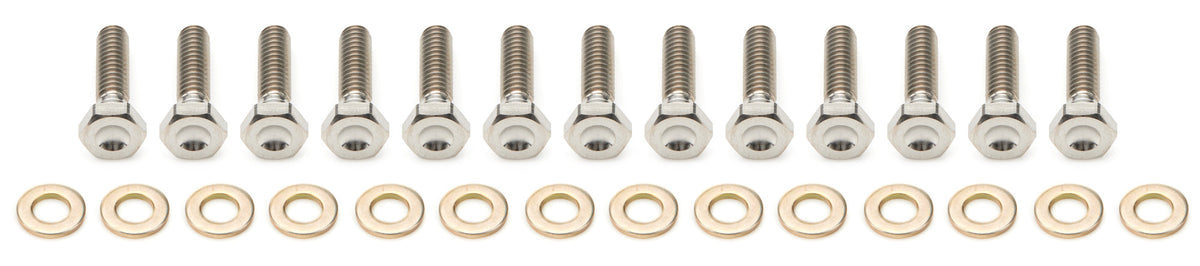 10in Beadlock Bolt Kit Titanium