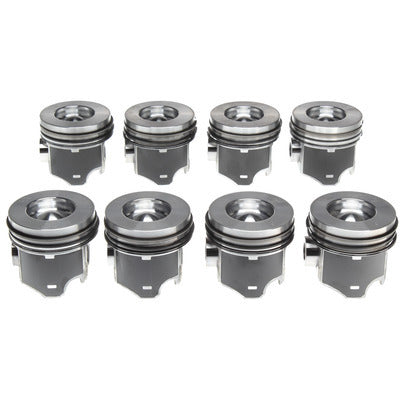 PISTONS WITH RINGS SET OF 8