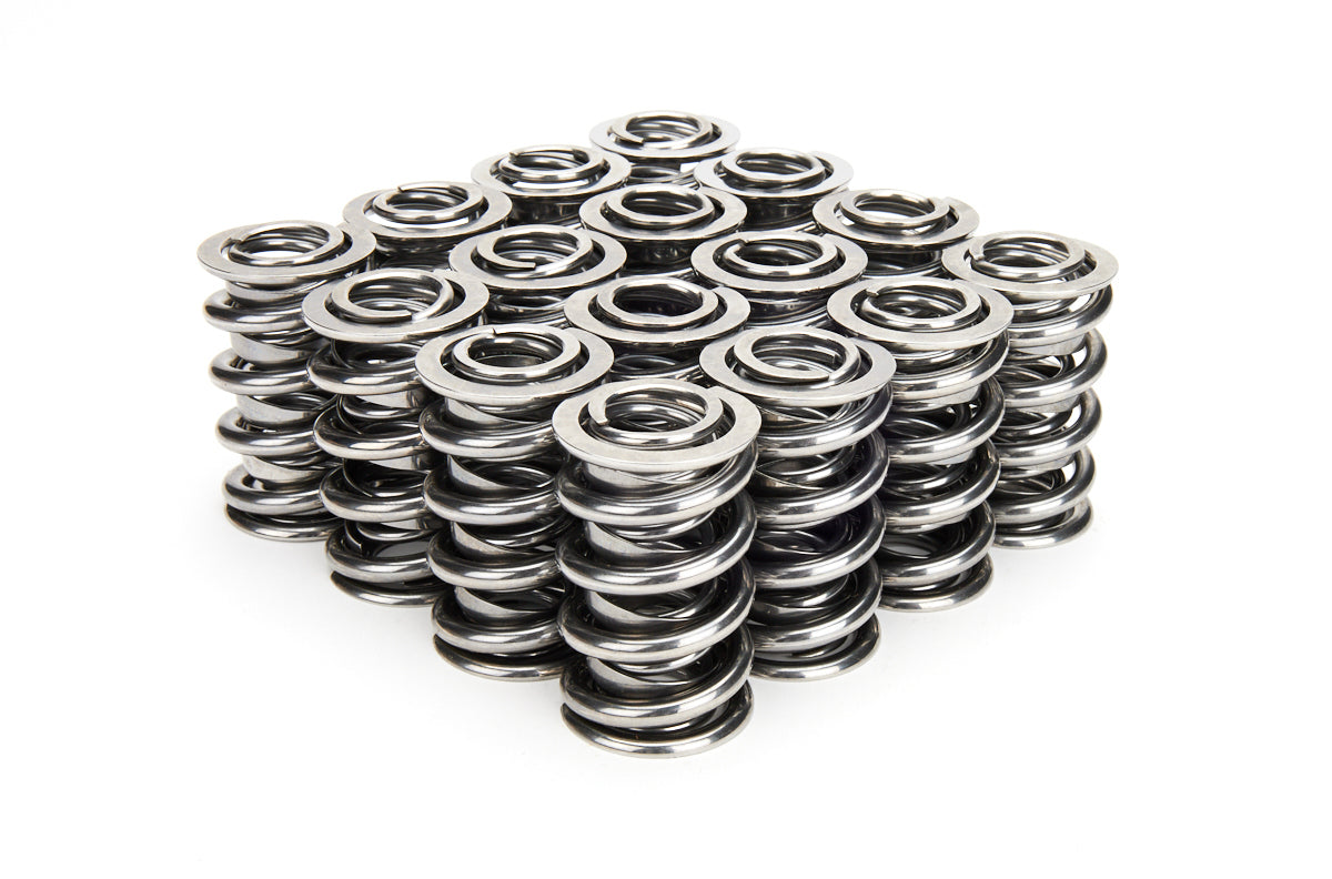 VALVE SPRING SET