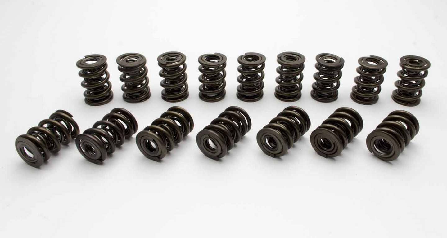 VALVE SPRING SET