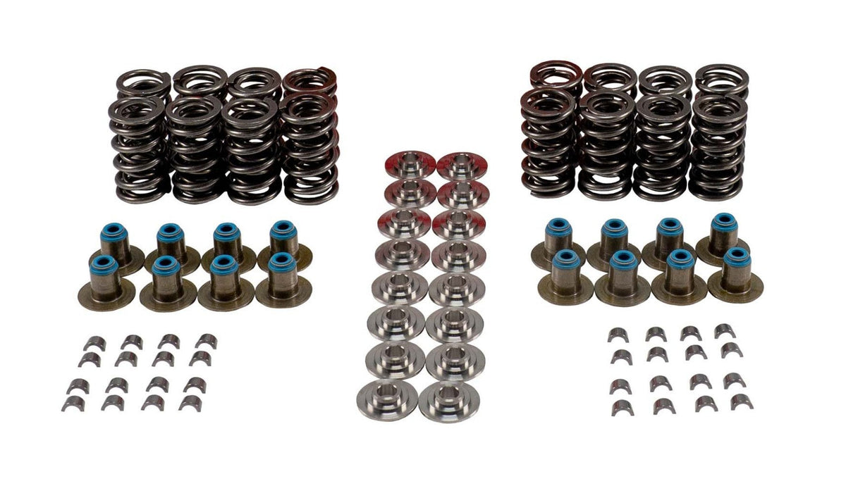 VALVE SPRING KIT