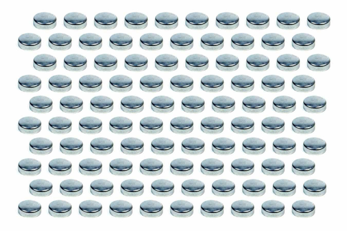 Expansion Plugs - 1-5/8 (100)