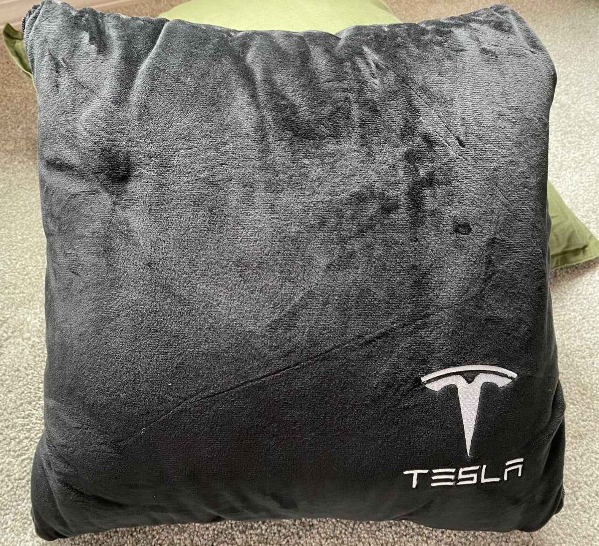 Tesla Throw Pillows