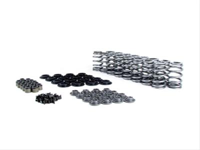 VALVE SPRING KIT