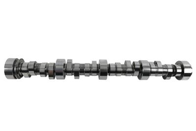 CAMSHAFT SOLID ROLLER LST