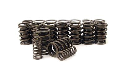 VALVE SPRINGS