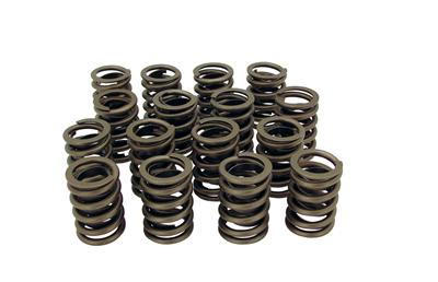 VALVE SPRING
