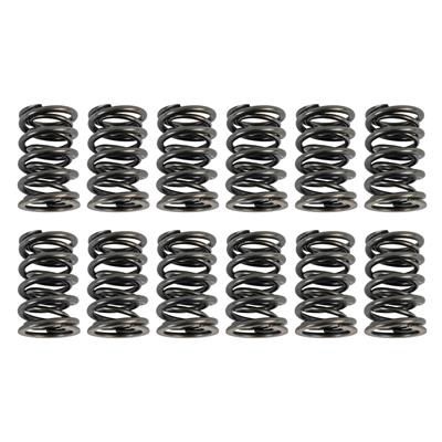 VALVE SPRINGS