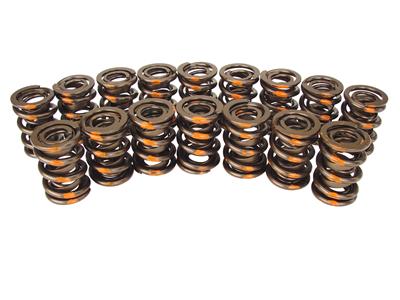 VALVE SPRING