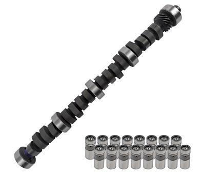 CAMSHAFT AND LIFTER KIT
