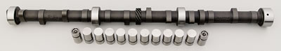 CAM & LIFTER KIT