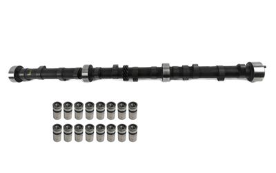 CAM AND LIFTER KIT