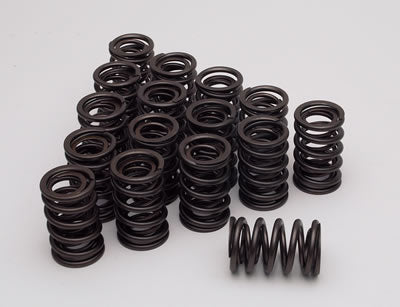 VALVE SPRINGS