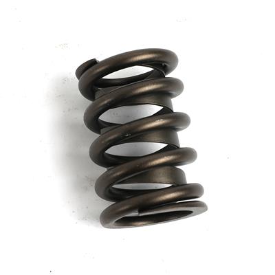 VALVE SPRINGS