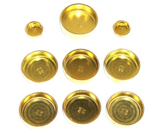 Expansion Plug Kit 1988-1997 Honda,Isuzu 2.6L