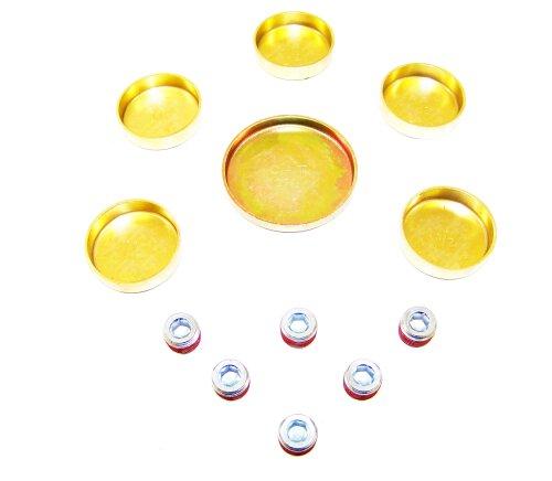 Expansion Plug Kit 1991-2008 Ford,Mazda,Mercury 3.0L