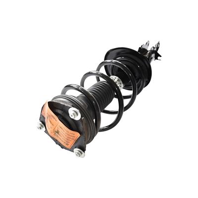 STRUT AND COIL SPRING ASSEMBLY