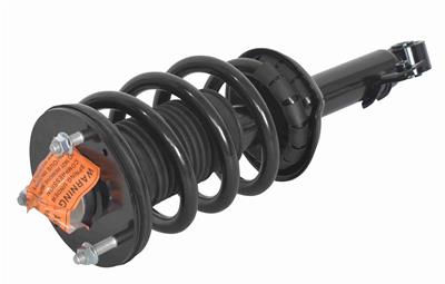 STRUT AND COIL SPRING ASSEMBLY
