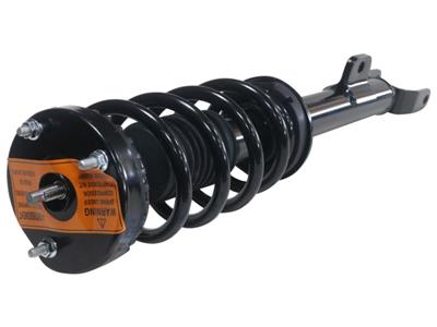 LOADED STRUT