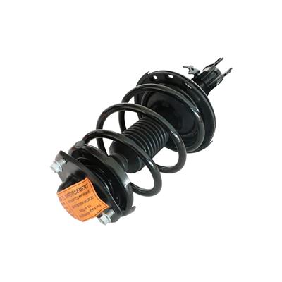 LOADED STRUT