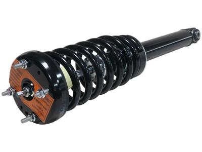 LOADED STRUT