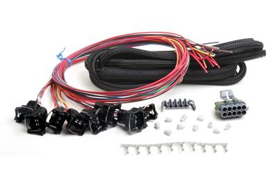 FUEL INJECTION WIRE HARNESS