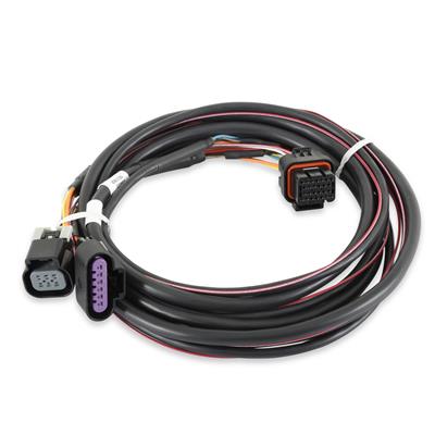 FUEL INJECTION WIRE HARNESS