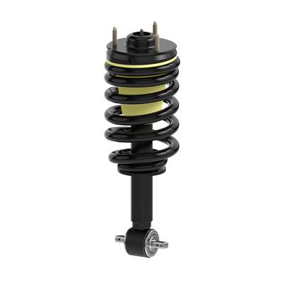 MAGNUM SEVERE SERVICE STRUT