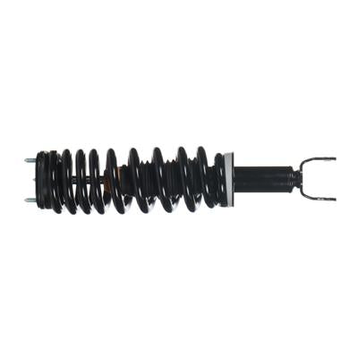 MAGNUM SEVERE SERVICE STRUT