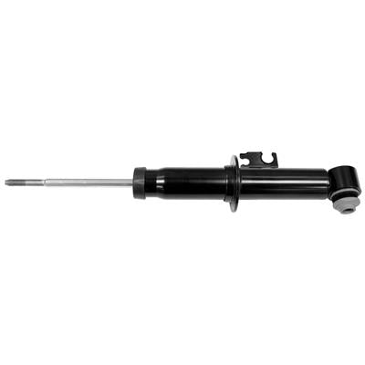 OESPECTRUM STRUT