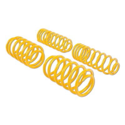 ST LOWERING SPRINGS