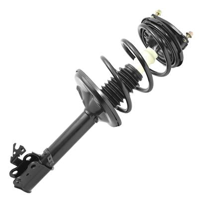 SHOCKS & STRUTS