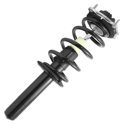 SHOCKS & STRUTS