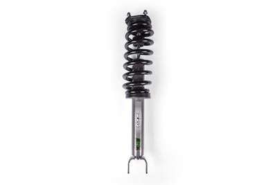 LOADED STRUT ASSEMBLY