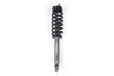 LOADED STRUT ASSEMBLY
