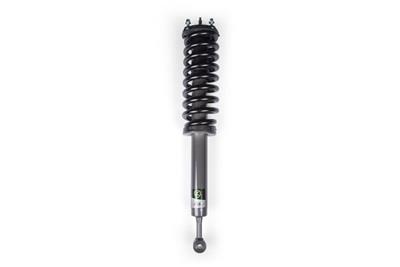 LOADED STRUT ASSEMBLY