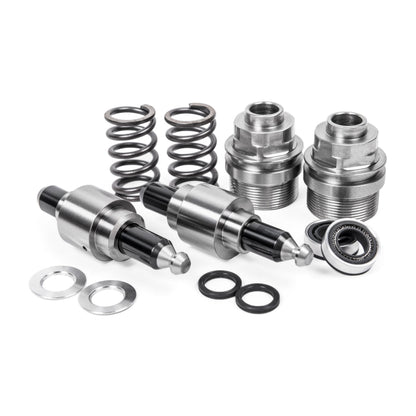 APR High Pressure Fuel Pumps - S5 4.2L V8 (Pre Nov 2008)