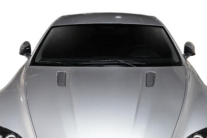 2006-2017 Aston Martin Vantage Aero Function AF-1 Carbon Fiber Accessory