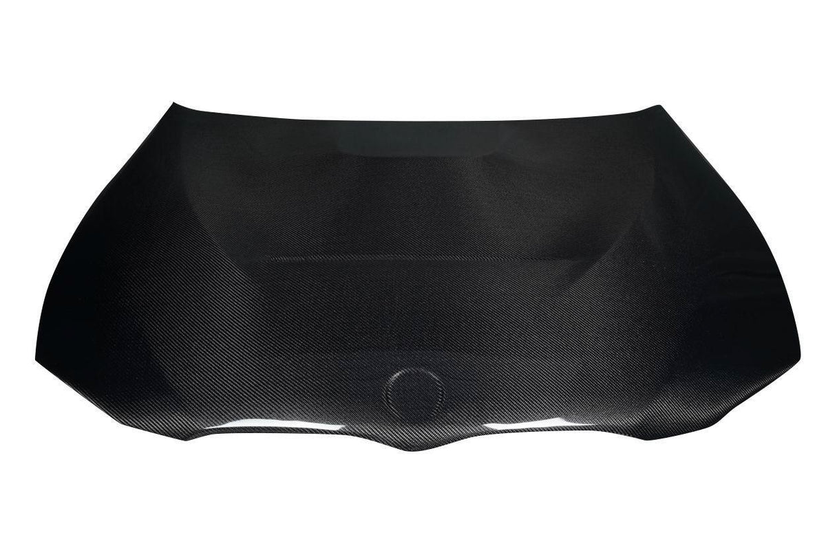 2007-2010 BMW 3 Series Carbon Creations GTS Carbon Fiber Hood